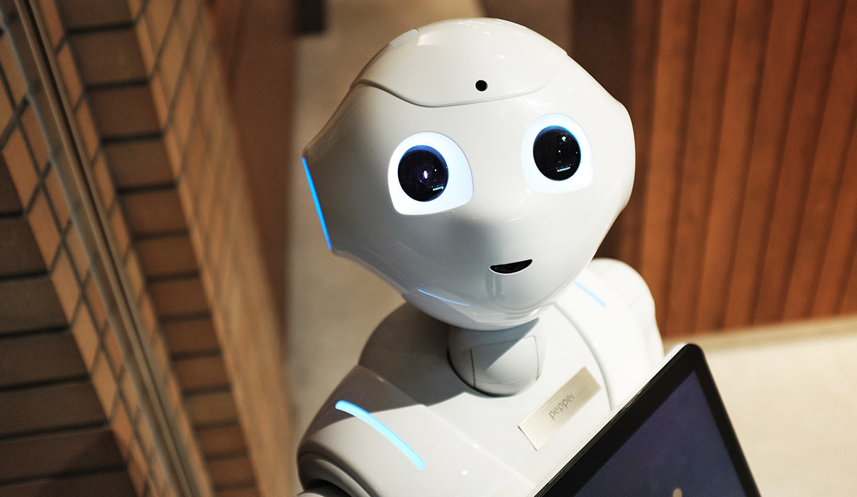 Humanoid Robot Humanoid Robot