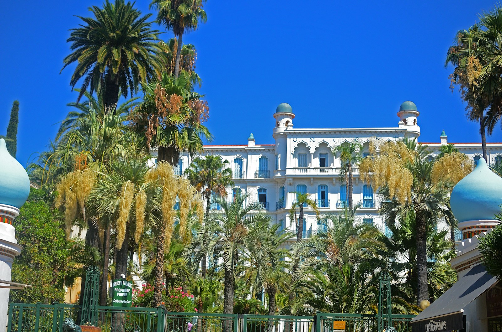 Cannes white building hotel stands among palm trees.