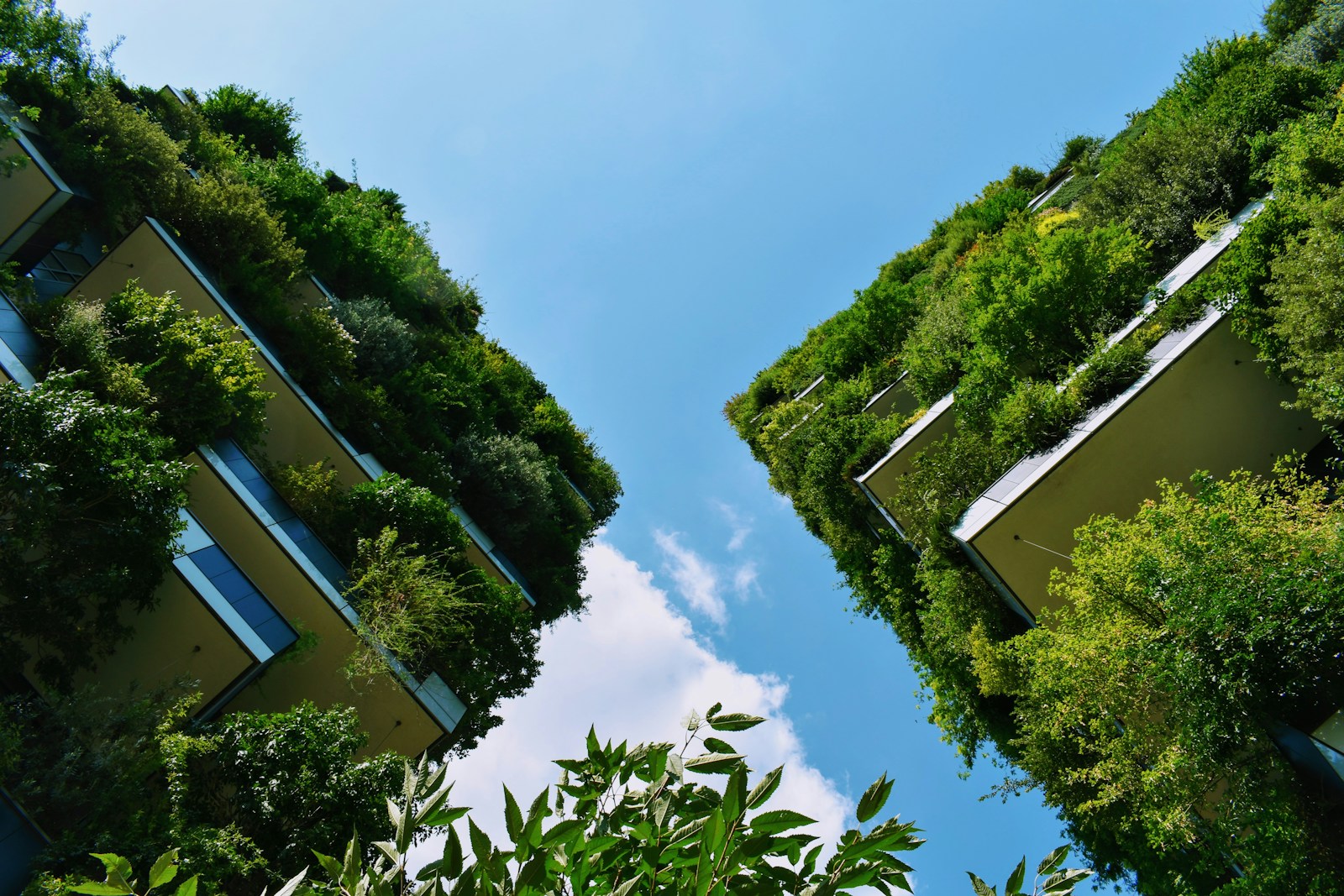 green buildings renewables